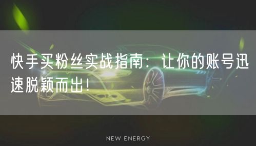 快手买粉丝实战指南:让你的账号迅速脱颖而出!