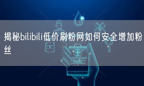 揭秘bilibili低价刷粉网如何安全增加粉丝