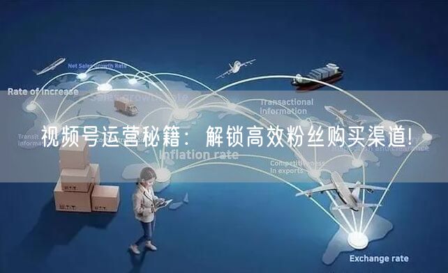 视频号运营秘籍:解锁高效粉丝购买渠道!