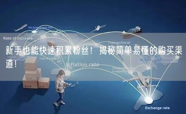 新手也能快速积累粉丝!揭秘简单易懂的购买渠道!