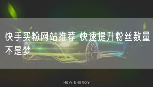 快手买粉网站推荐 快速提升粉丝数量不是梦