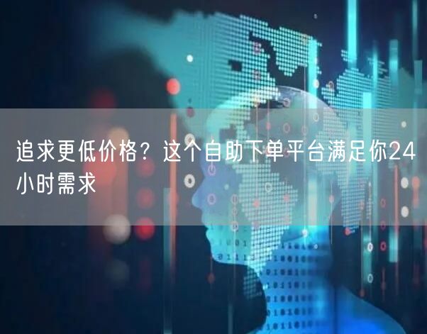 追求更低价格?这个自助下单平台满足你24小时需求