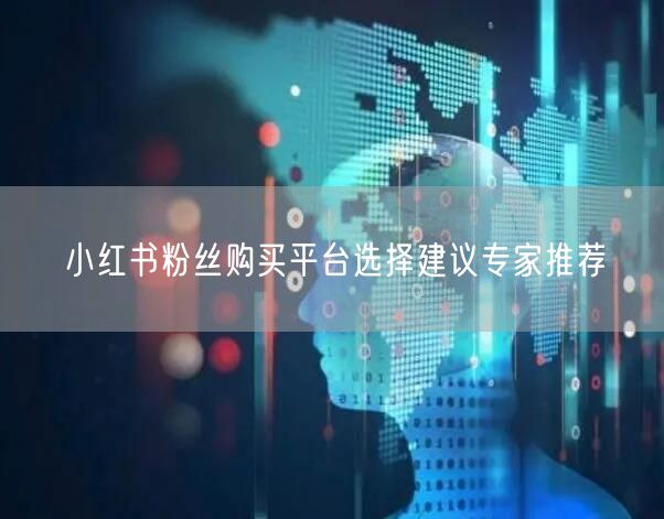 小红书粉丝购买平台选择建议专家推荐
