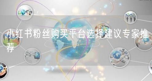 小红书粉丝购买平台选择建议专家推荐