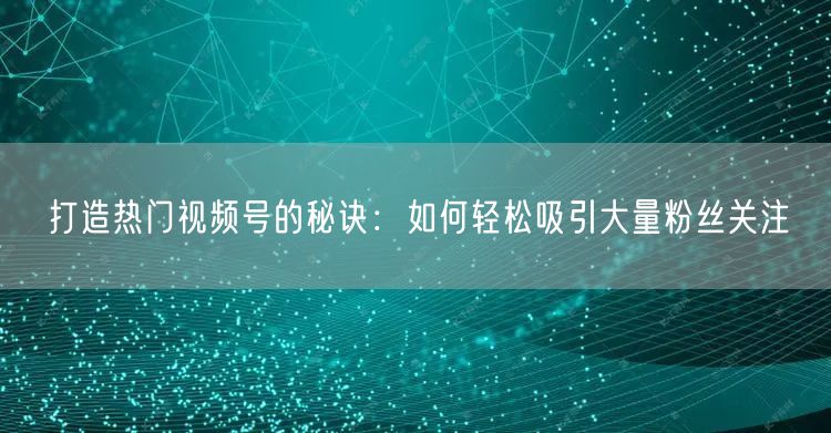 打造热门视频号的秘诀:如何轻松吸引大量粉丝关注