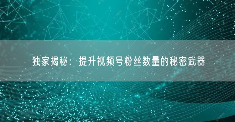 独家揭秘：提升视频号粉丝数量的秘密武器