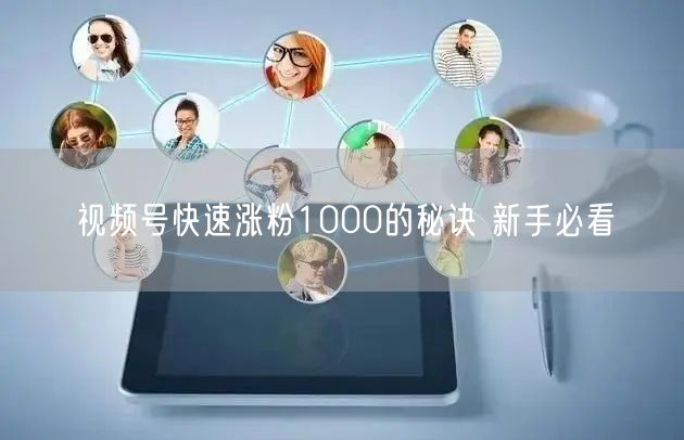 视频号快速涨粉1000的秘诀 新手必看
